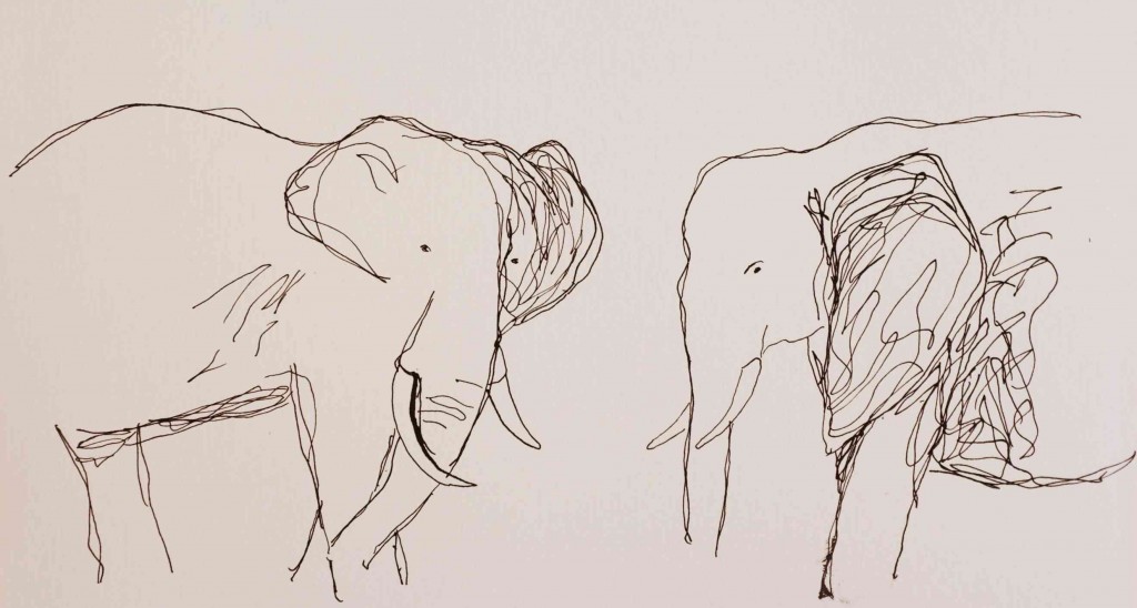 Elephants.compressed